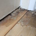 Rotten, water damaged bathroom floor in Worthing