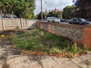Overgrown front garden in west worthing