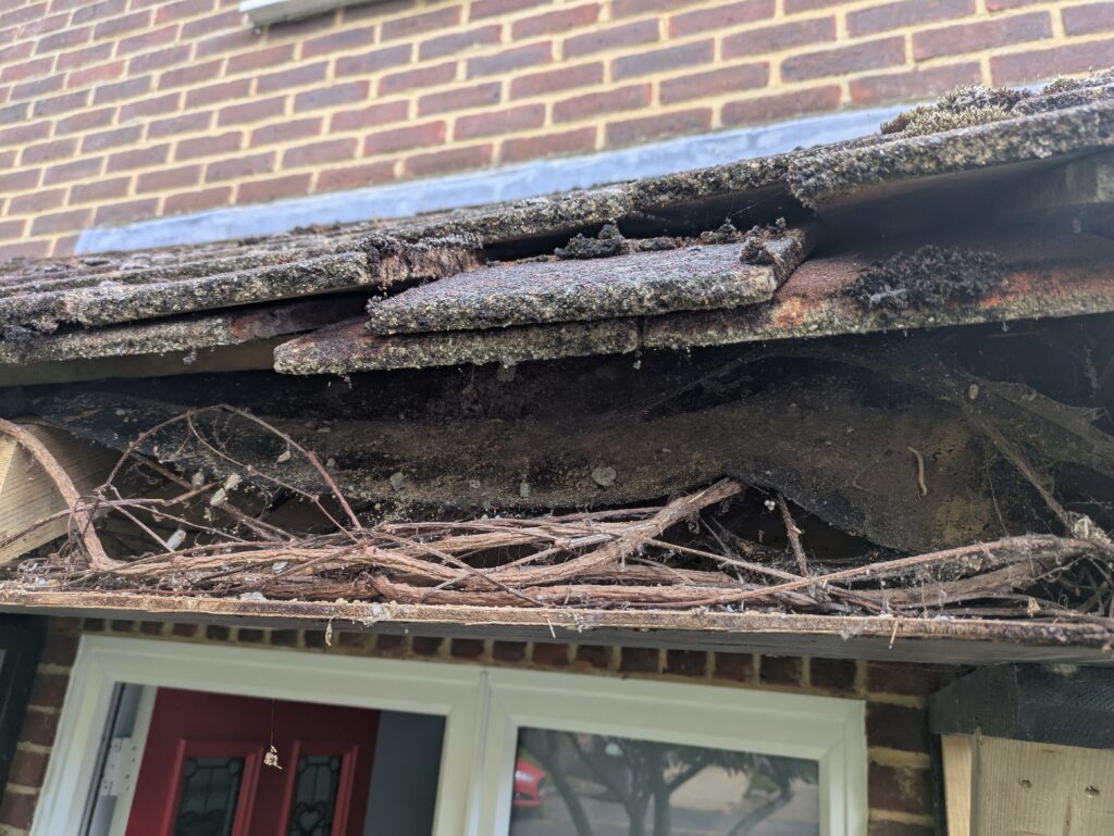 Getting to know the spiders and mice on this wooden porch repair job in worthing